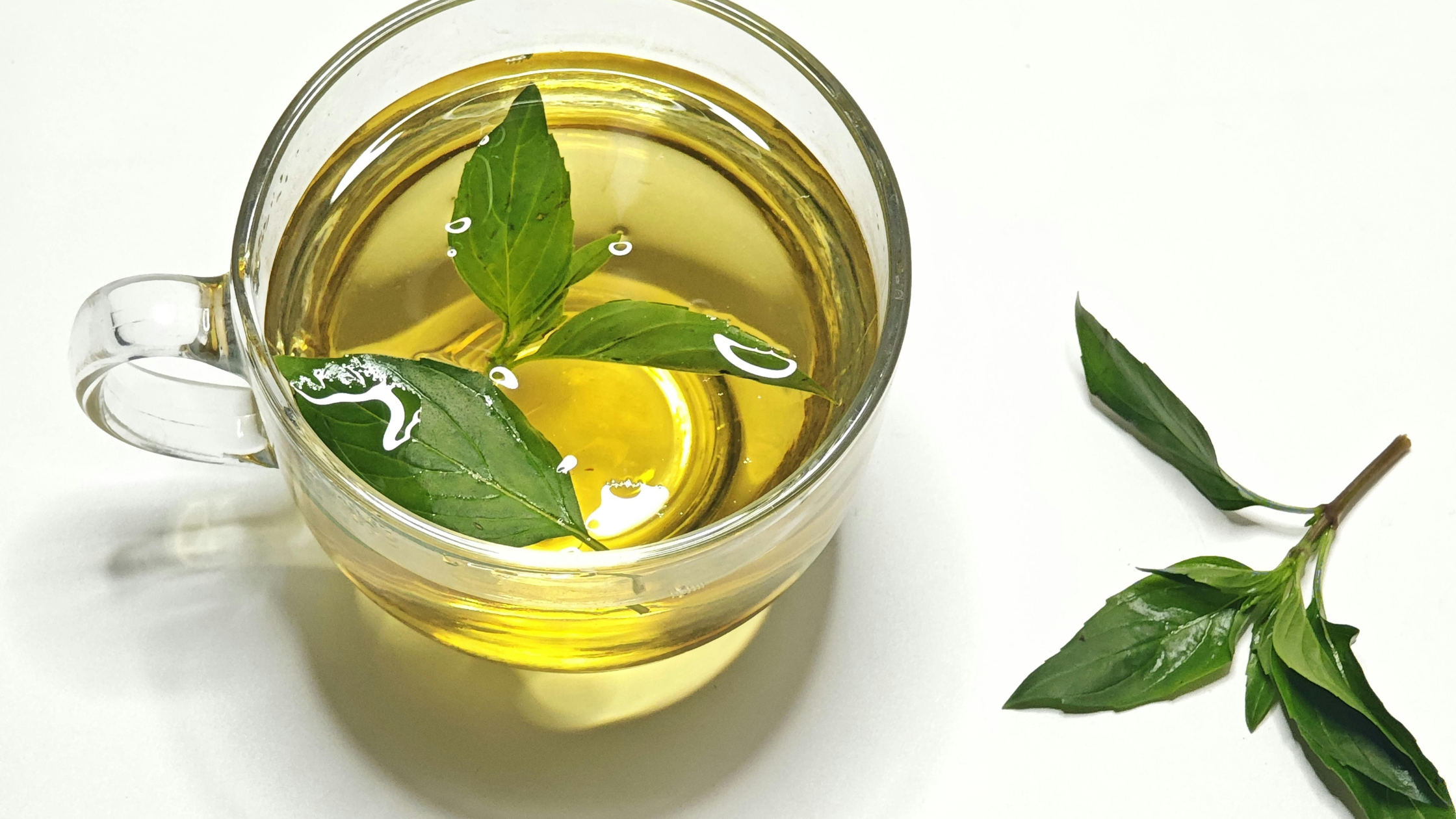 Té Verde Bancha: Beneficios, Propiedades y Cómo Prepararlo Paso a Paso